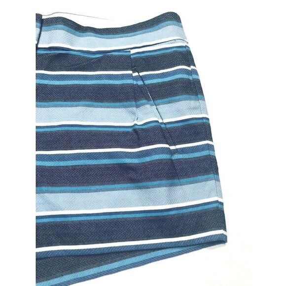 J. Crew  Womens Size 4 Blue Striped Textured Mini Pleated Shorts Pockets Boho - Picture 3 of 7